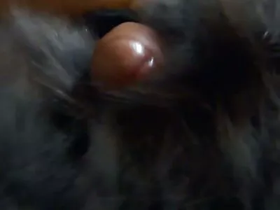 Jessi Palmer e Anthony Rosano em I vídeo pornô mulher transando com dois homens Have A Wife