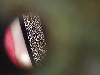 Lindo vídeo de xvídeos pornô mulher transando vagabundo (Toni Marie)