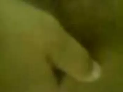 Deixe-me tirar uma selfie do Brazzers! vídeo (Jordan Ash, Tasha Reign) videos de animes fazendo sexo
